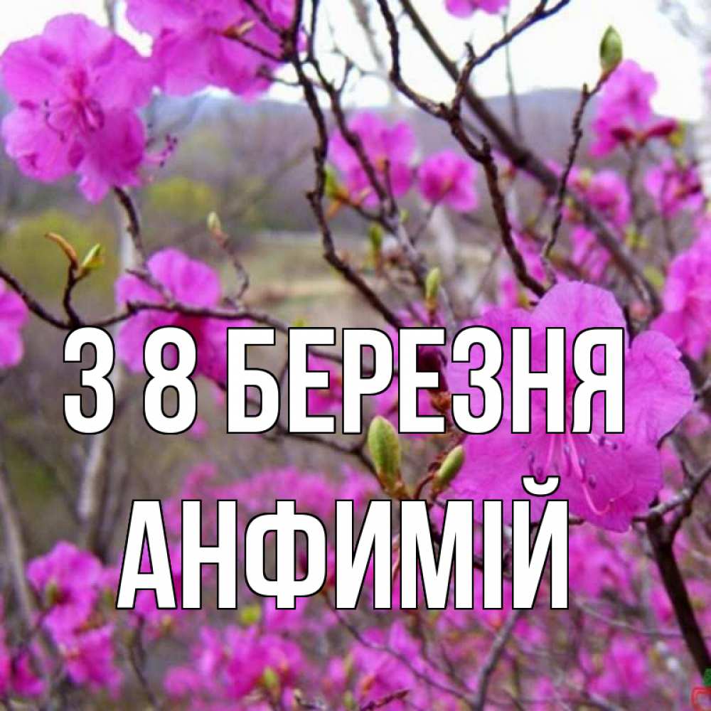 Открытка на каждый день з підписом, Анфимій З 8 БЕРЕЗНЯ международный женский день Прикольна листівка з побажанням онлайн скачати безкоштовно 