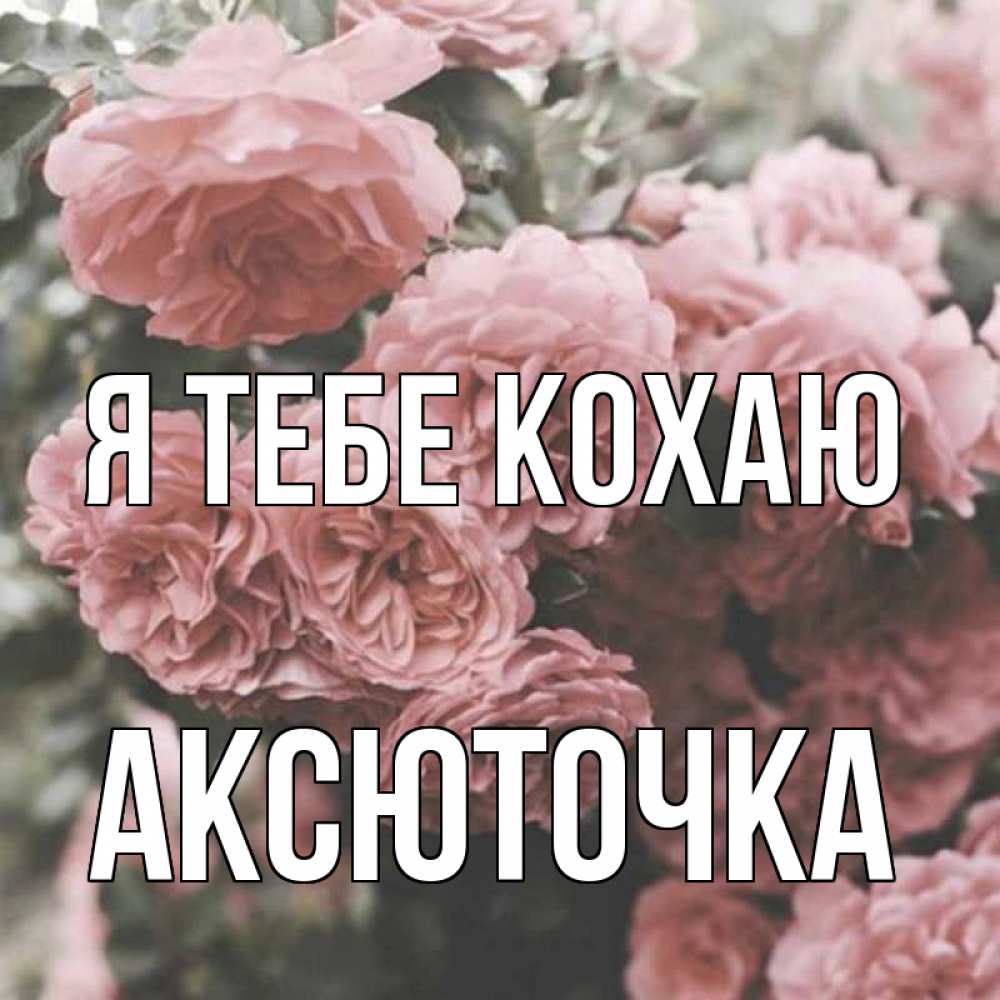 Открытка на каждый день з підписом, Аксюточка Я тебе кохаю розы 3 Прикольна листівка з побажанням онлайн скачати безкоштовно 