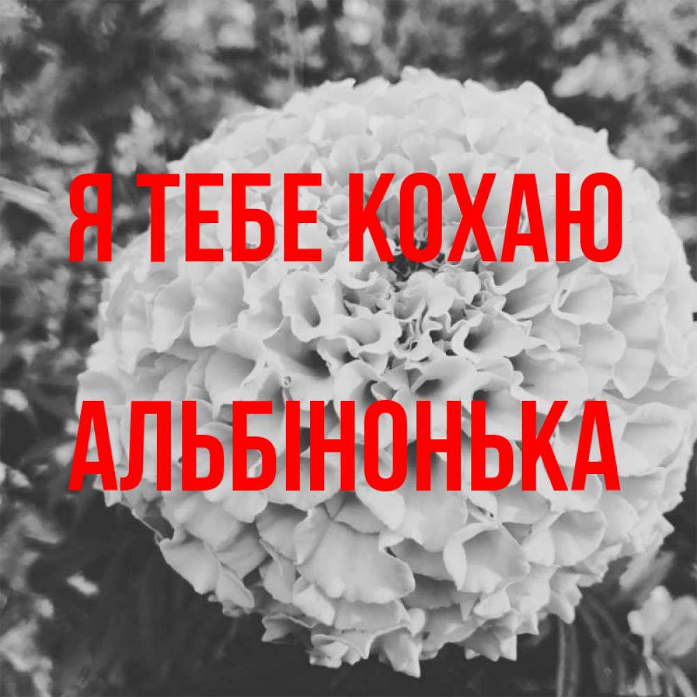 Открытка на каждый день з підписом, Альбінонька Я тебе кохаю подпись Прикольна листівка з побажанням онлайн скачати безкоштовно 