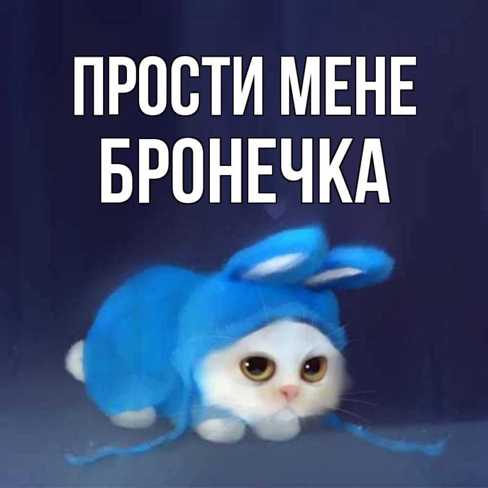 Открытка на каждый день з підписом, Бронечка Прости мене невинный котозай просит прощения Прикольна листівка з побажанням онлайн скачати безкоштовно 