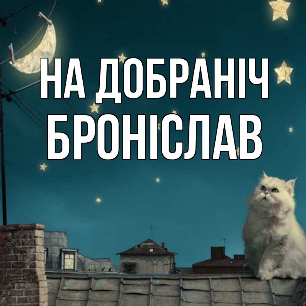 Открытка на каждый день з підписом, Броніслав На добраніч белый кот сидит на крыше Прикольна листівка з побажанням онлайн скачати безкоштовно 