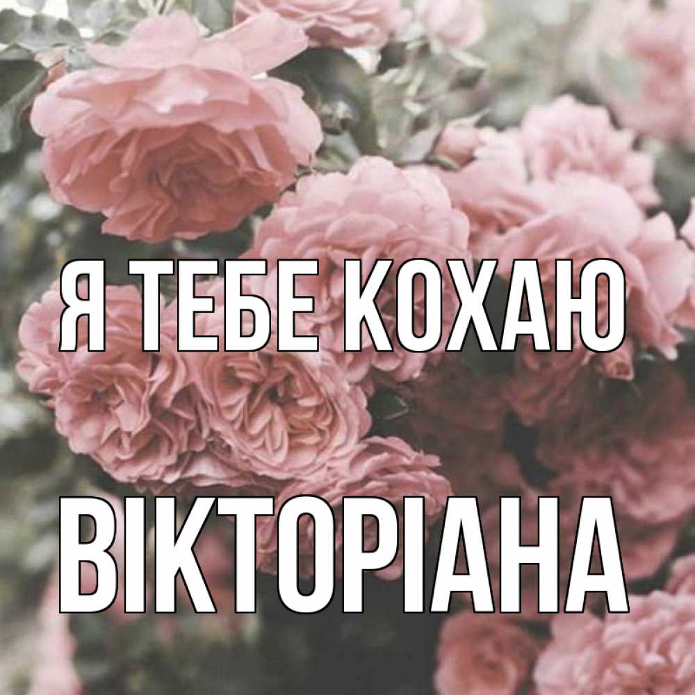 Открытка на каждый день з підписом, Вікторіана Я тебе кохаю розы 3 Прикольна листівка з побажанням онлайн скачати безкоштовно 