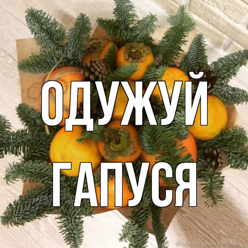 Открытка на каждый день з підписом, Гапуся Одужуй апельсины и хурьма Прикольна листівка з побажанням онлайн скачати безкоштовно 