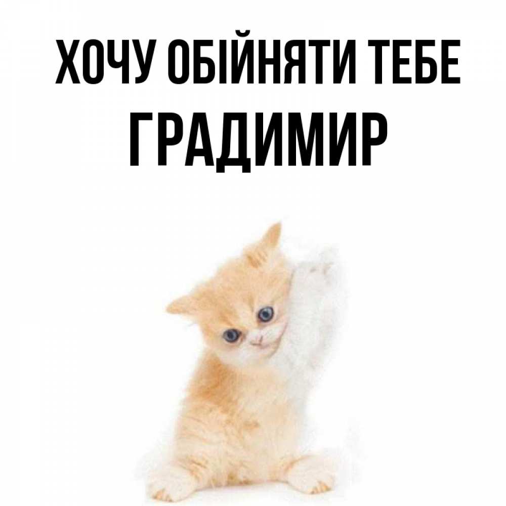 Открытка на каждый день з підписом, Градимир Хочу обійняти тебе я хочу очень скорее обнимаешек Прикольна листівка з побажанням онлайн скачати безкоштовно 