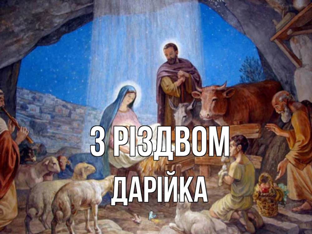 Открытка на каждый день з підписом, Дарійка З Різдвом Хлев с животными, Иисус, рождество Прикольна листівка з побажанням онлайн скачати безкоштовно 