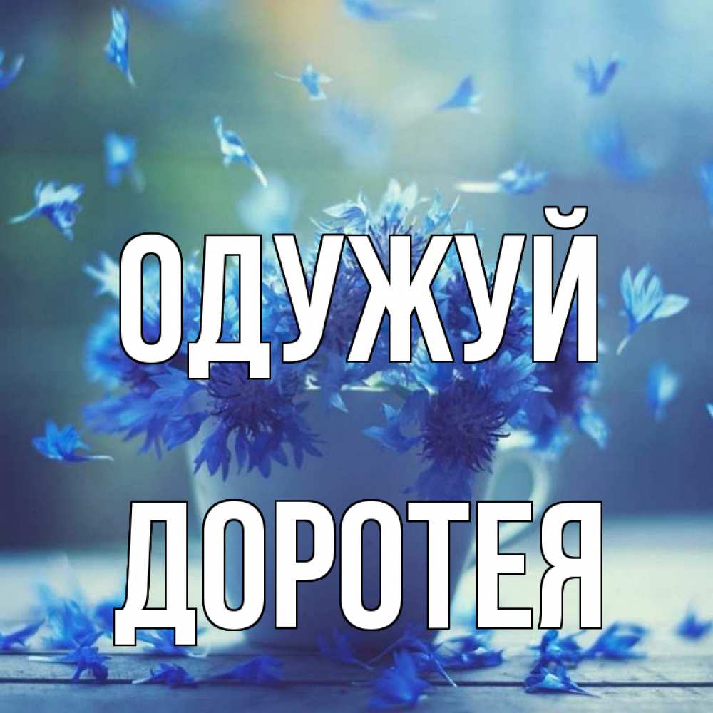 Открытка на каждый день з підписом, Доротея Одужуй кружка с зельем и цветами Прикольна листівка з побажанням онлайн скачати безкоштовно 