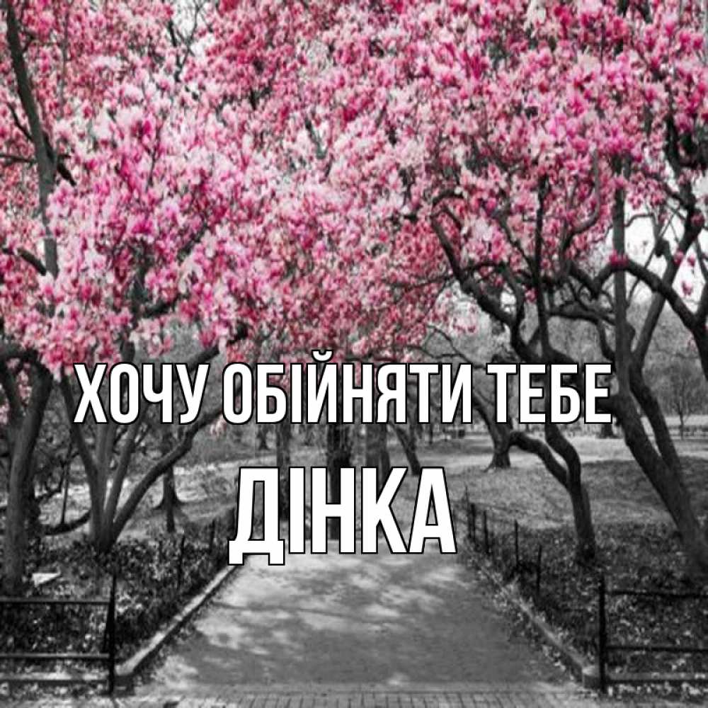 Открытка на каждый день з підписом, Дінка Хочу обійняти тебе обработанное фото Прикольна листівка з побажанням онлайн скачати безкоштовно 
