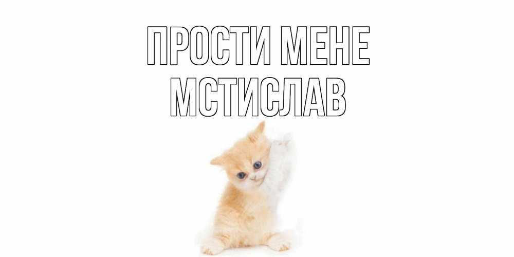 Открытка на каждый день з підписом, Мстислав Прости мене кот Прикольна листівка з побажанням онлайн скачати безкоштовно 