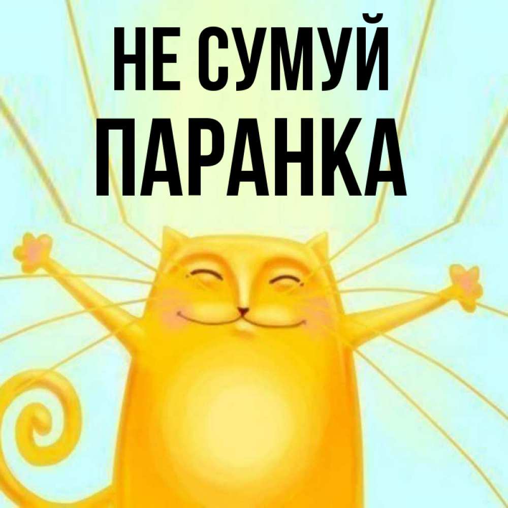Открытка на каждый день з підписом, Паранка Не сумуй обнимашки усатые Прикольна листівка з побажанням онлайн скачати безкоштовно 