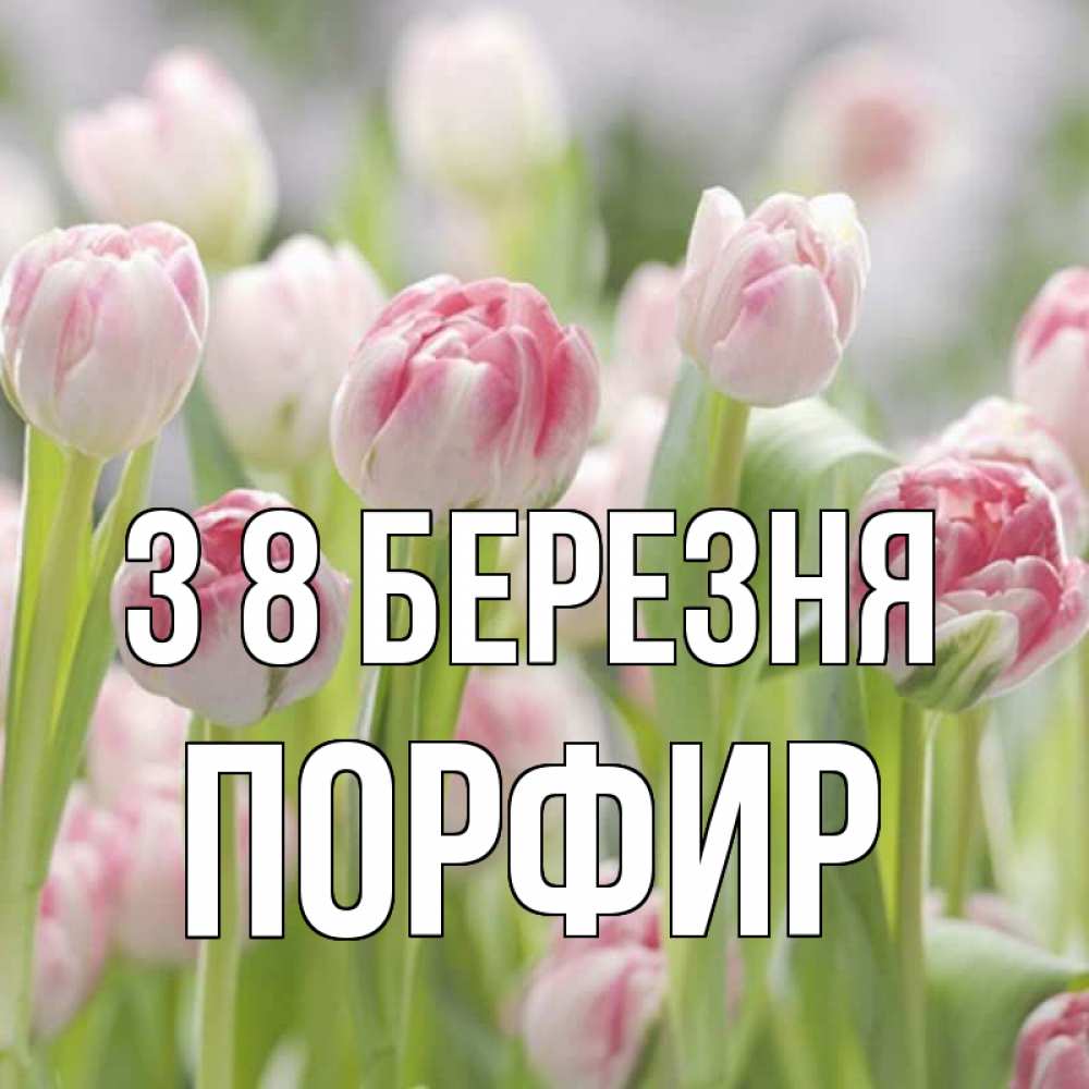 Открытка на каждый день з підписом, Порфир З 8 БЕРЕЗНЯ цветы Прикольна листівка з побажанням онлайн скачати безкоштовно 