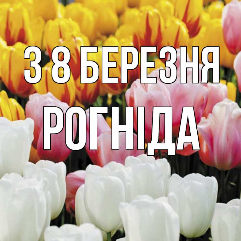 Открытка на каждый день з підписом, Рогніда З 8 БЕРЕЗНЯ разноцветные цветы Прикольна листівка з побажанням онлайн скачати безкоштовно 