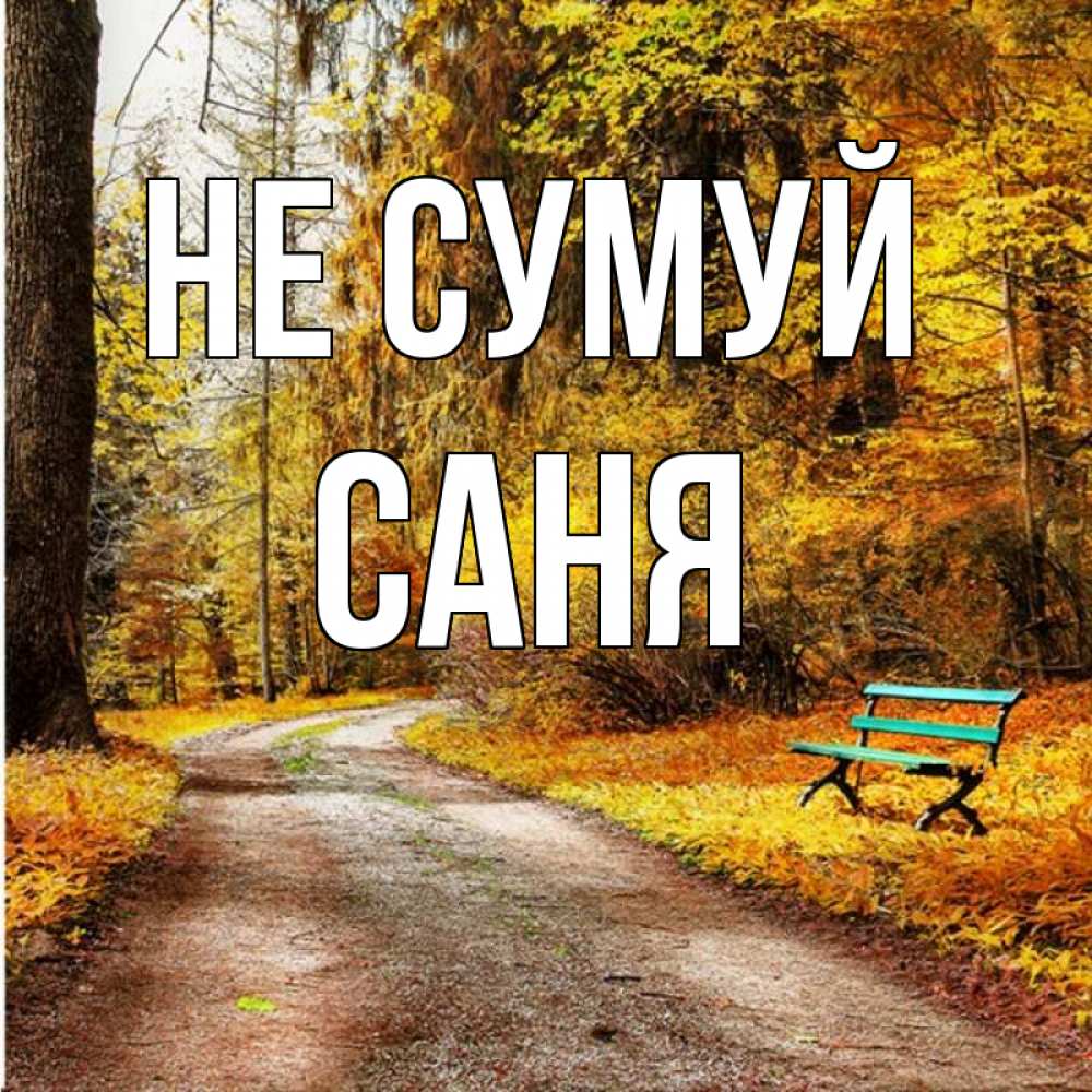 Открытка на каждый день з підписом, Саня Не сумуй зеленая лавочка Прикольна листівка з побажанням онлайн скачати безкоштовно 