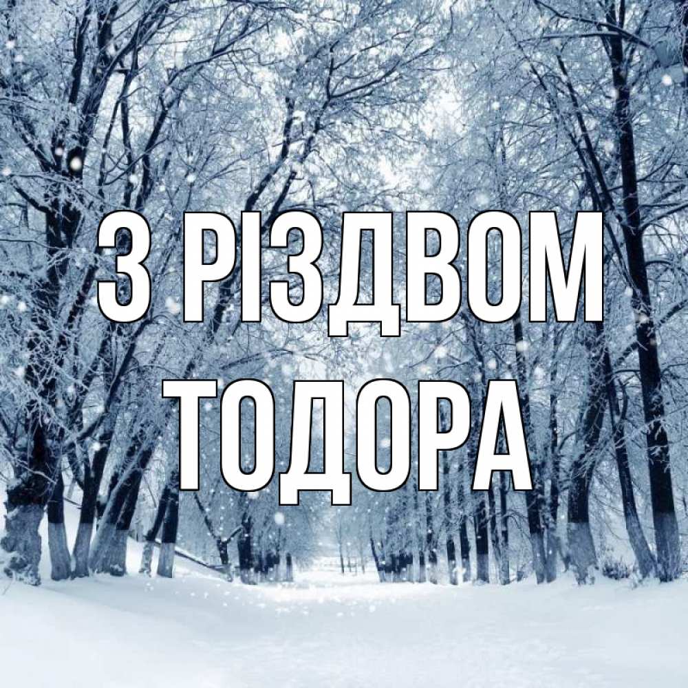 Открытка на каждый день з підписом, Тодора З Різдвом снег, лес, парк Прикольна листівка з побажанням онлайн скачати безкоштовно 