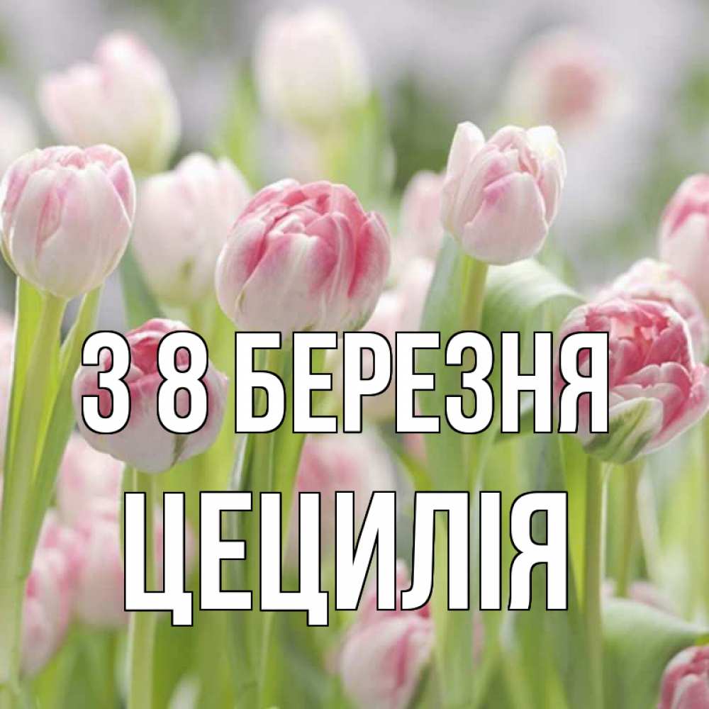 Открытка на каждый день з підписом, Цецилія З 8 БЕРЕЗНЯ цветы Прикольна листівка з побажанням онлайн скачати безкоштовно 