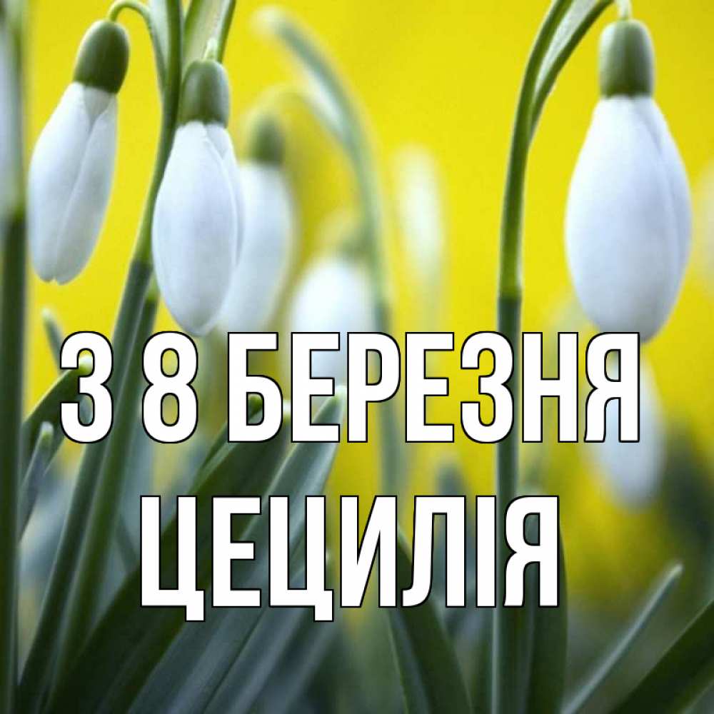 Открытка на каждый день з підписом, Цецилія З 8 БЕРЕЗНЯ весенние цветы Прикольна листівка з побажанням онлайн скачати безкоштовно 