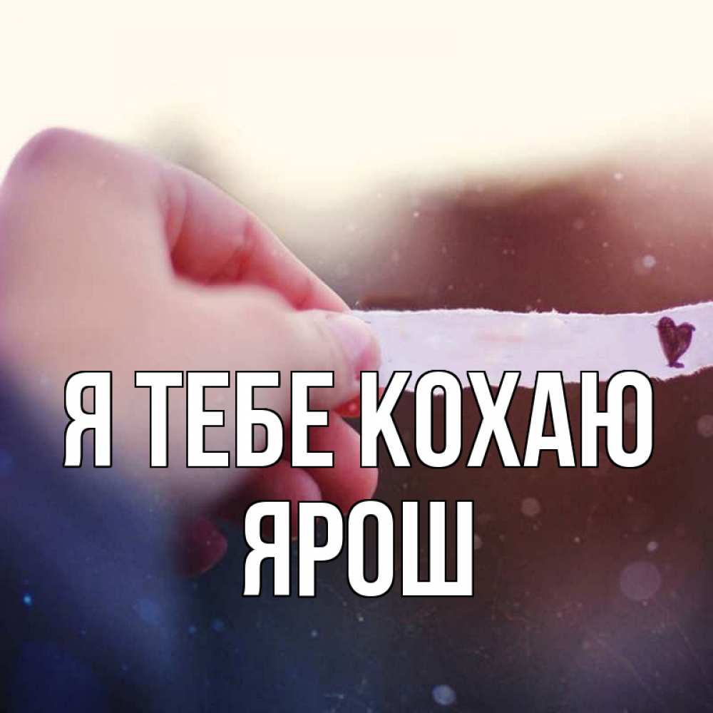 Открытка на каждый день з підписом, Ярош Я тебе кохаю для тебя Прикольна листівка з побажанням онлайн скачати безкоштовно 