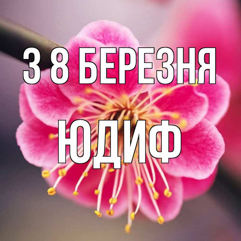 Открытка на каждый день з підписом, Юдиф З 8 БЕРЕЗНЯ цветы Прикольна листівка з побажанням онлайн скачати безкоштовно 