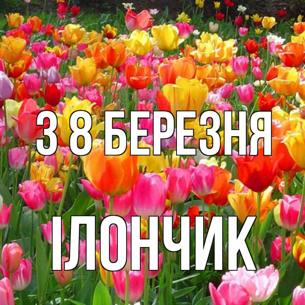 Открытка на каждый день з підписом, Ілончик З 8 БЕРЕЗНЯ на международный женский день Прикольна листівка з побажанням онлайн скачати безкоштовно 