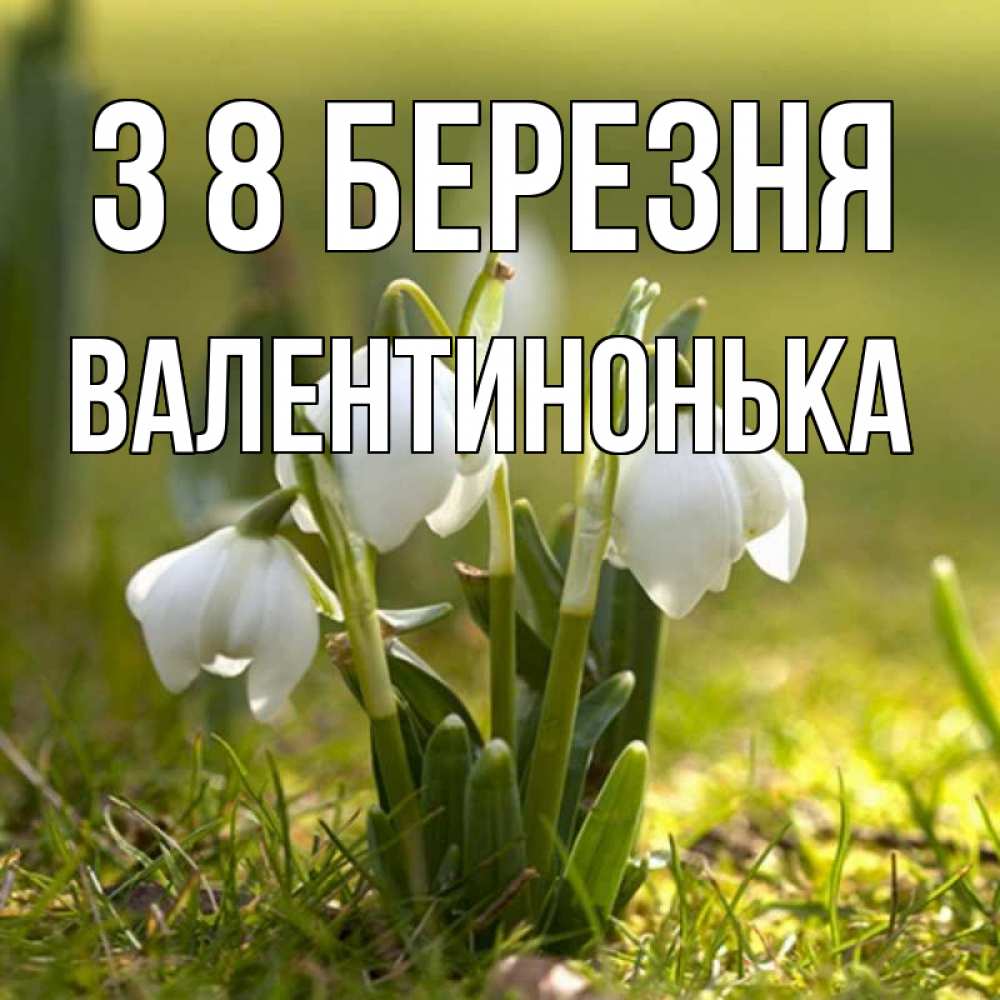 Открытка на каждый день з підписом, Валентинонька З 8 БЕРЕЗНЯ ранние цветы 2 Прикольна листівка з побажанням онлайн скачати безкоштовно 