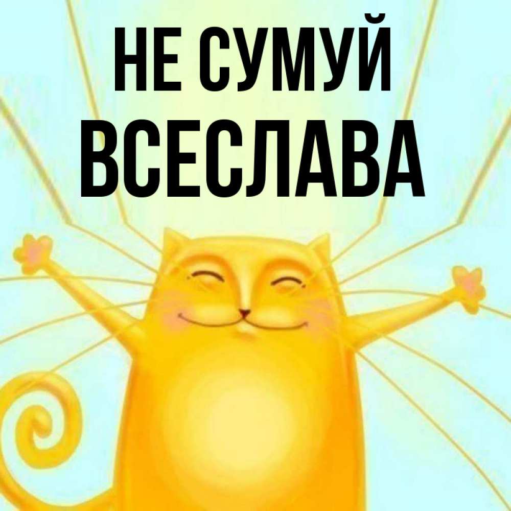 Открытка на каждый день з підписом, Всеслава Не сумуй обнимашки усатые Прикольна листівка з побажанням онлайн скачати безкоштовно 