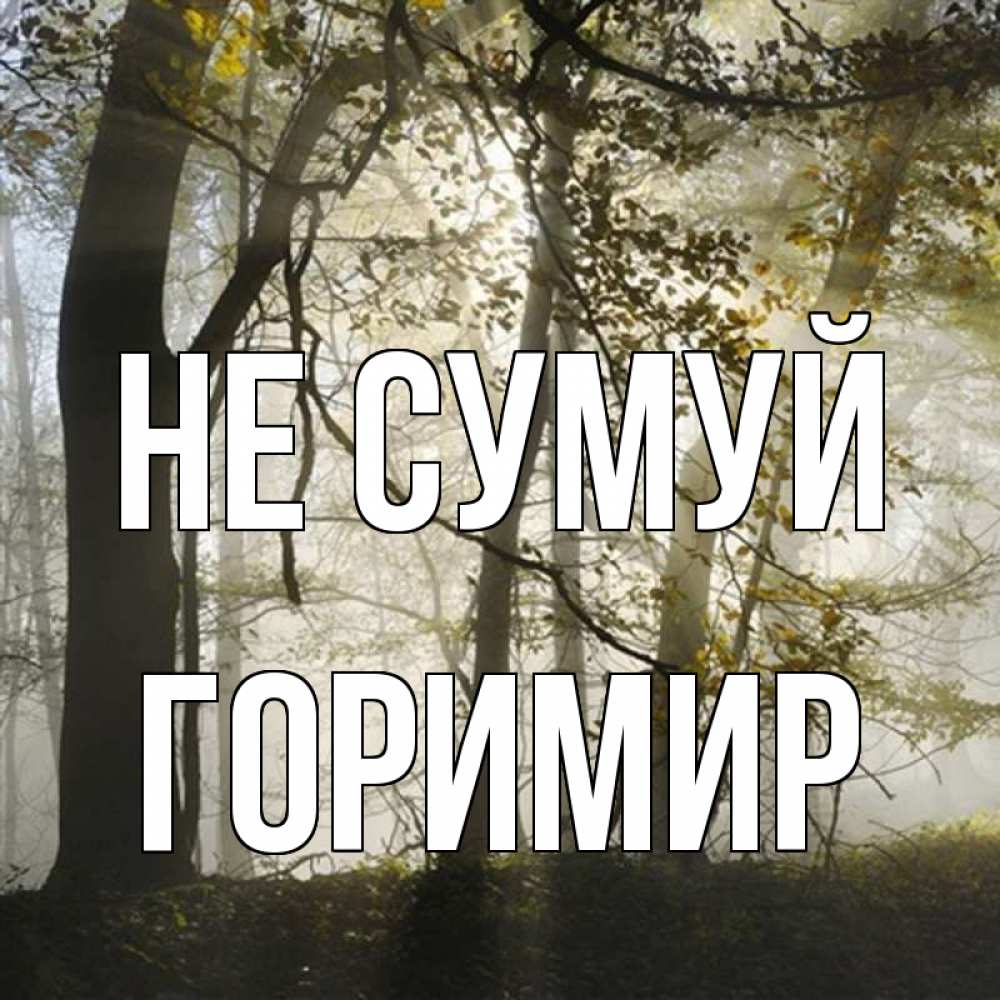 Открытка на каждый день з підписом, Горимир Не сумуй лес и свет Прикольна листівка з побажанням онлайн скачати безкоштовно 