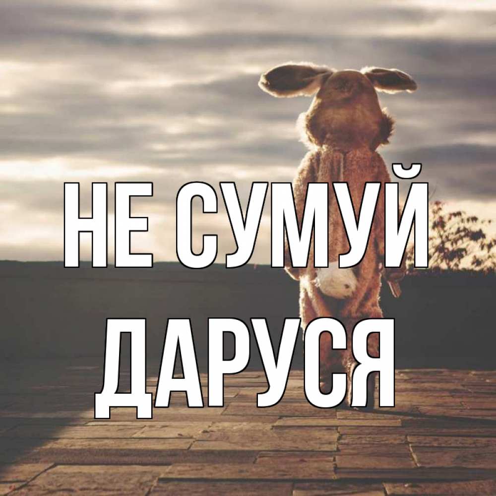 Открытка на каждый день з підписом, Даруся Не сумуй со спины Прикольна листівка з побажанням онлайн скачати безкоштовно 
