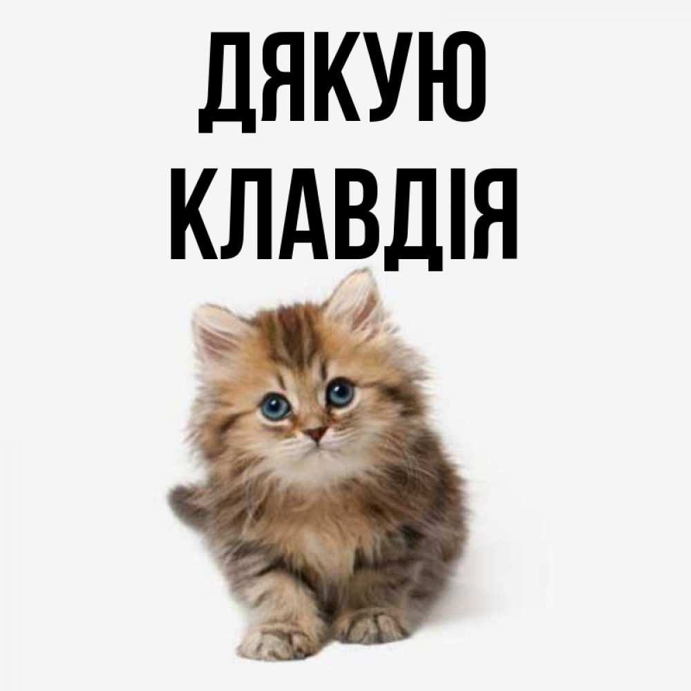 Открытка на каждый день з підписом, Клавдія Дякую пушистый котик Прикольна листівка з побажанням онлайн скачати безкоштовно 