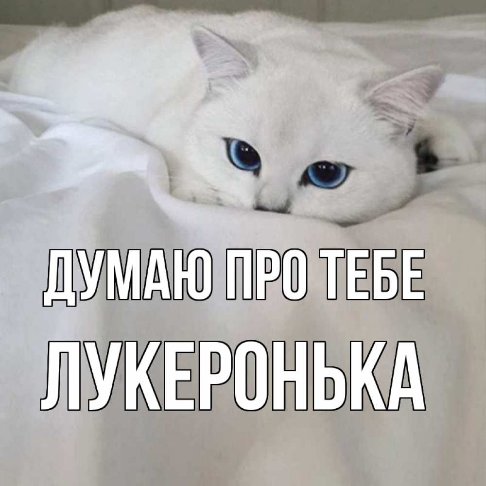 Открытка на каждый день з підписом, Лукеронька Думаю про тебе я очень по тебе скучаю и тоскую Прикольна листівка з побажанням онлайн скачати безкоштовно 