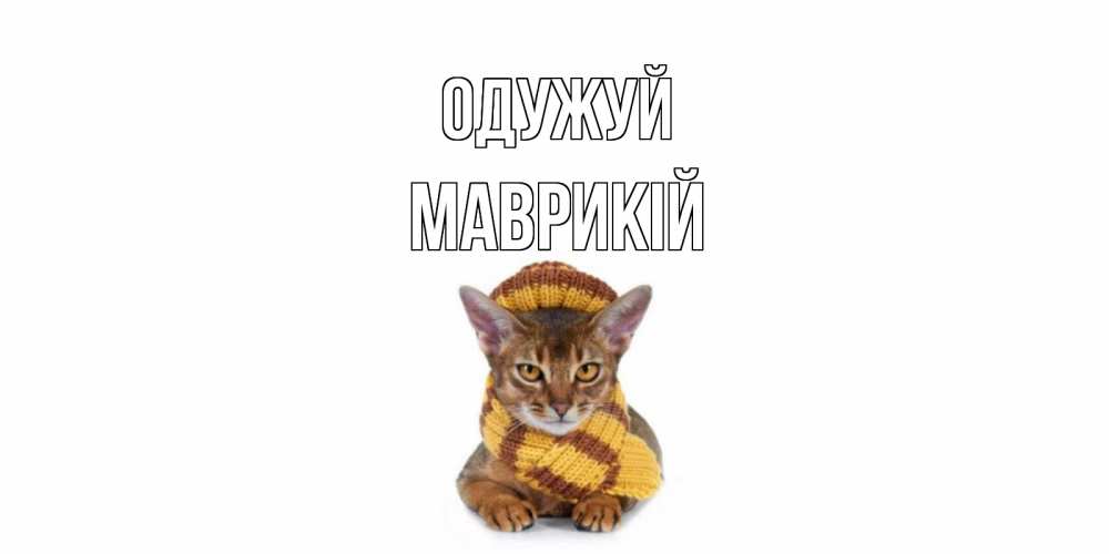 Открытка на каждый день з підписом, Маврикій Одужуй родные не болейте Прикольна листівка з побажанням онлайн скачати безкоштовно 