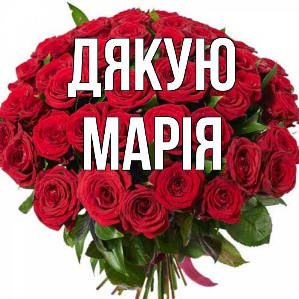 Открытка на каждый день з підписом, Марія Дякую букет красных роз Прикольна листівка з побажанням онлайн скачати безкоштовно 