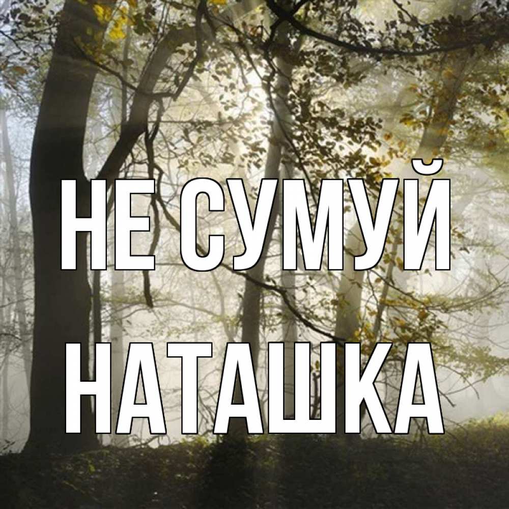 Открытка на каждый день з підписом, Наташка Не сумуй лес и свет Прикольна листівка з побажанням онлайн скачати безкоштовно 