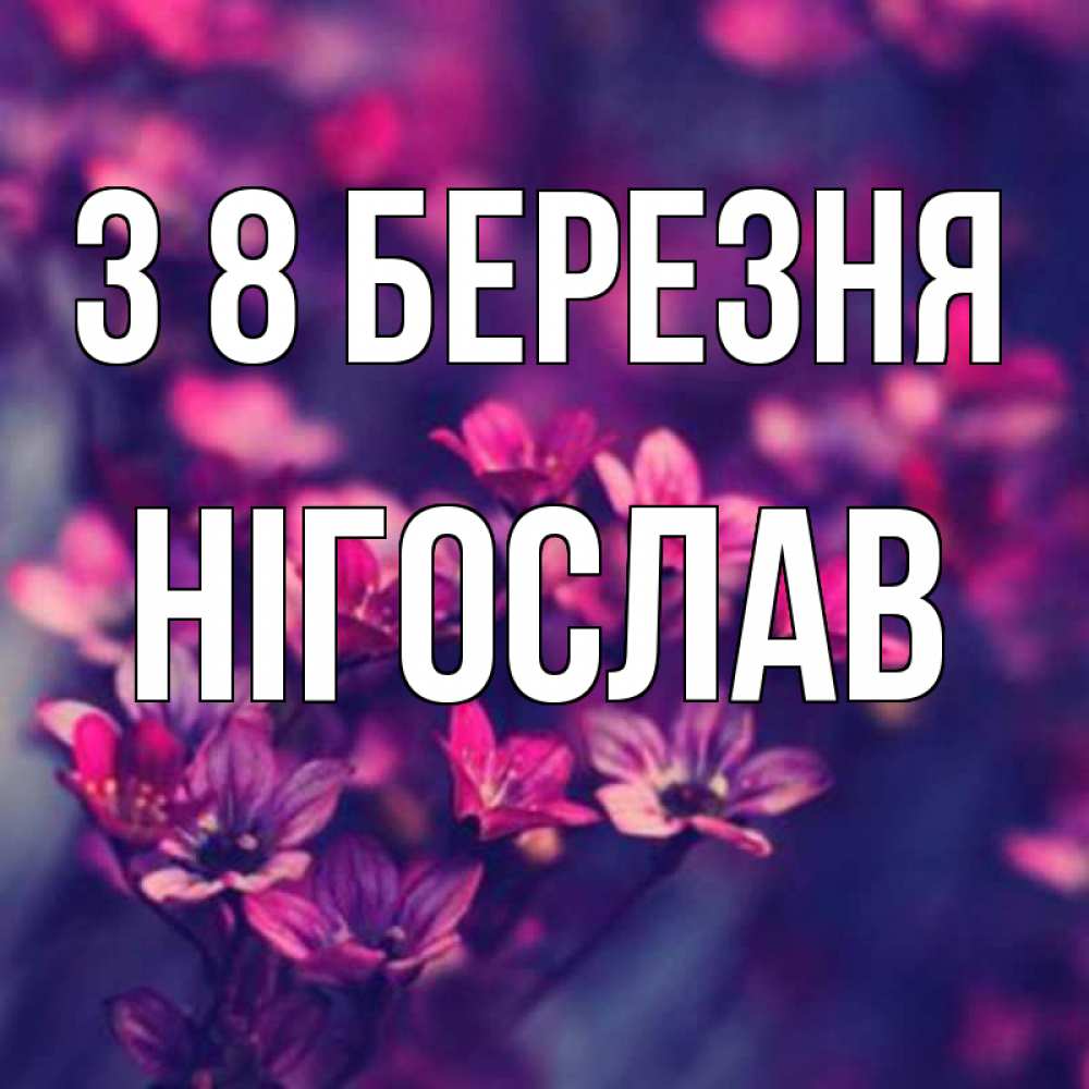 Открытка на каждый день з підписом, Нігослав З 8 БЕРЕЗНЯ небольшие цветы 1 Прикольна листівка з побажанням онлайн скачати безкоштовно 