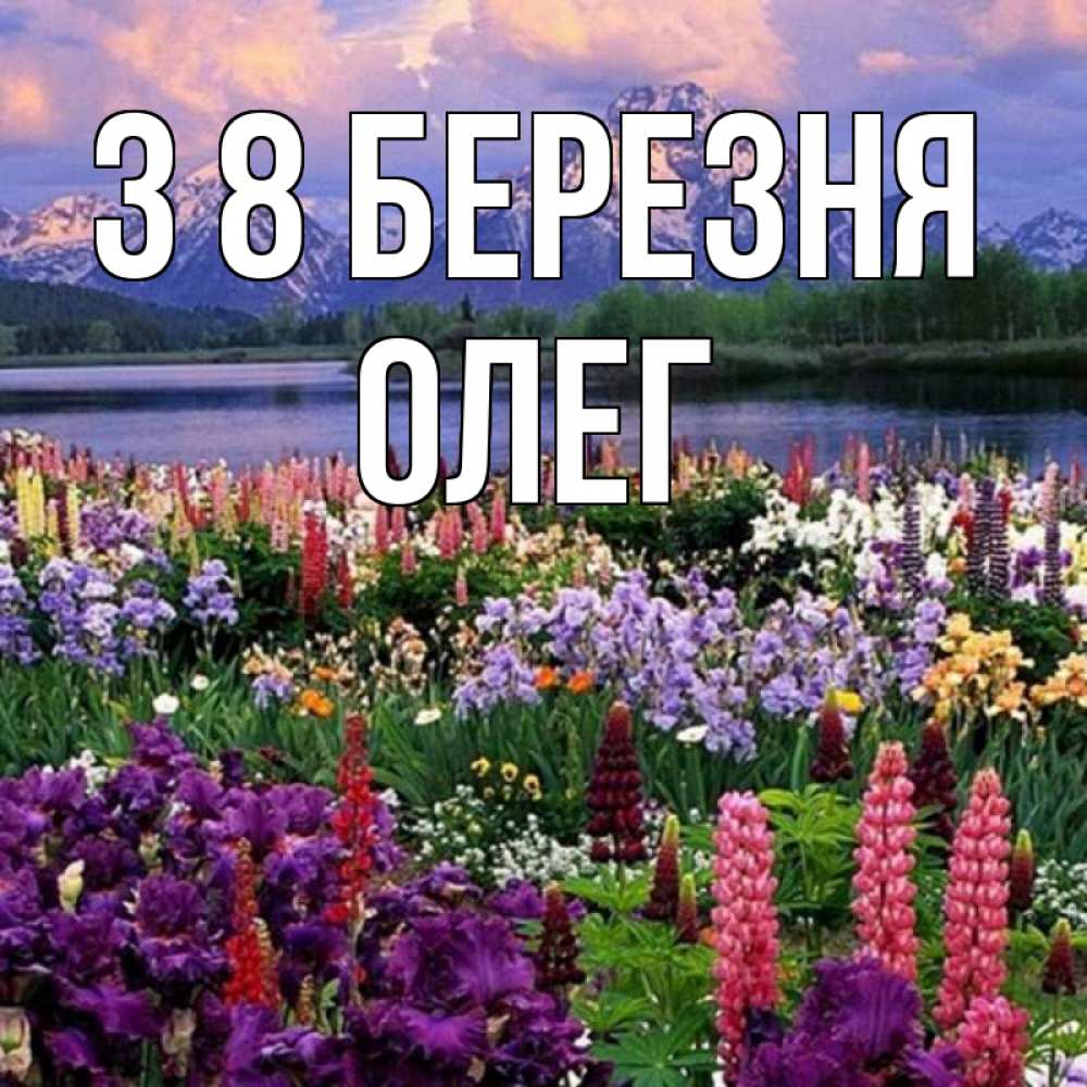Открытка на каждый день з підписом, Олег З 8 БЕРЕЗНЯ международный женский день Прикольна листівка з побажанням онлайн скачати безкоштовно 