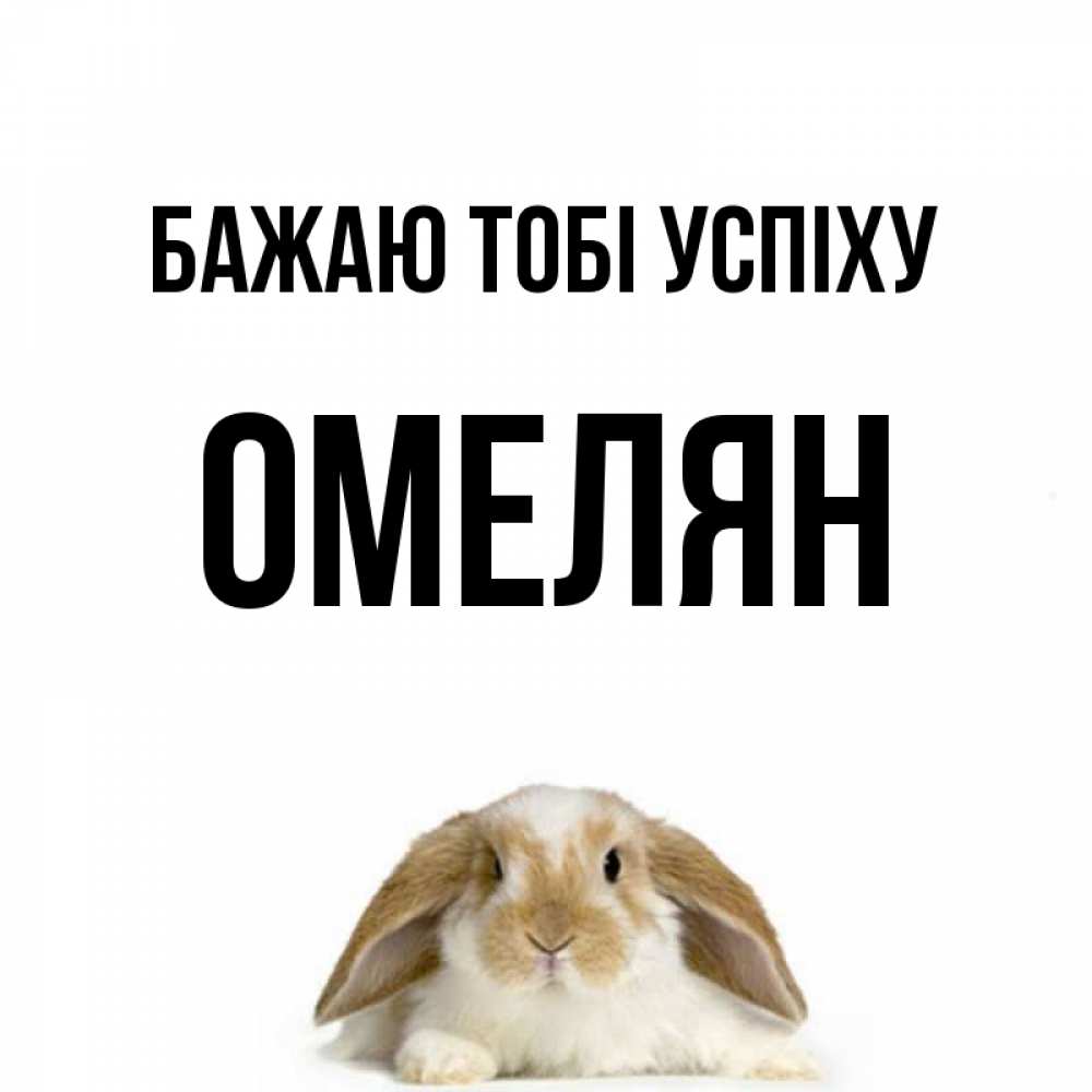 Открытка на каждый день з підписом, Омелян Бажаю тобі успіху открытки с произвольным текстом который можно вставить в открытку и создать ее самостоятельно бесплатно онлайн Прикольна листівка з побажанням онлайн скачати безкоштовно 