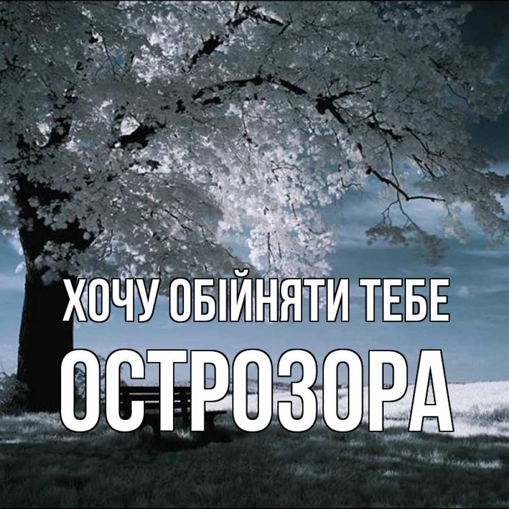 Открытка на каждый день з підписом, Острозора Хочу обійняти тебе дерево Прикольна листівка з побажанням онлайн скачати безкоштовно 
