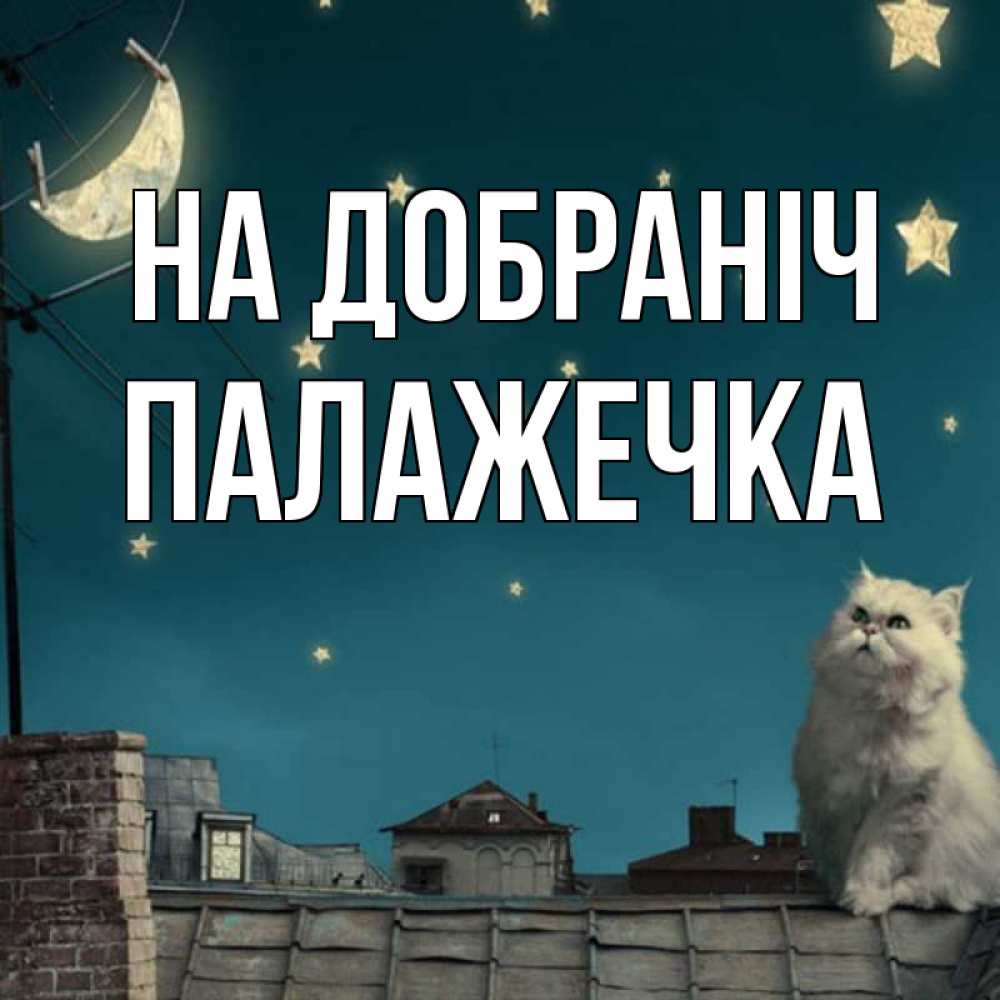 Открытка на каждый день з підписом, Палажечка На добраніч белый кот сидит на крыше Прикольна листівка з побажанням онлайн скачати безкоштовно 