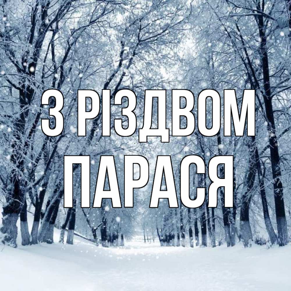 Открытка на каждый день з підписом, Парася З Різдвом снег, лес, парк Прикольна листівка з побажанням онлайн скачати безкоштовно 