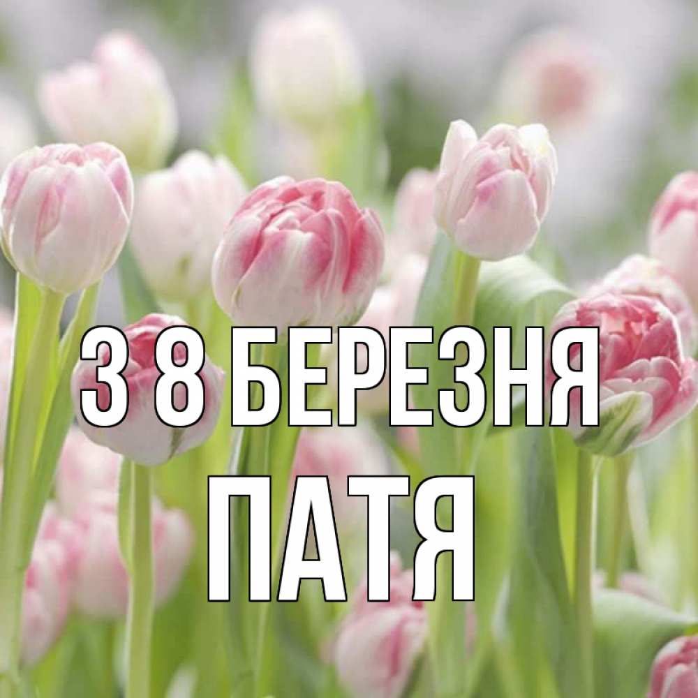 Открытка на каждый день з підписом, Патя З 8 БЕРЕЗНЯ цветы Прикольна листівка з побажанням онлайн скачати безкоштовно 