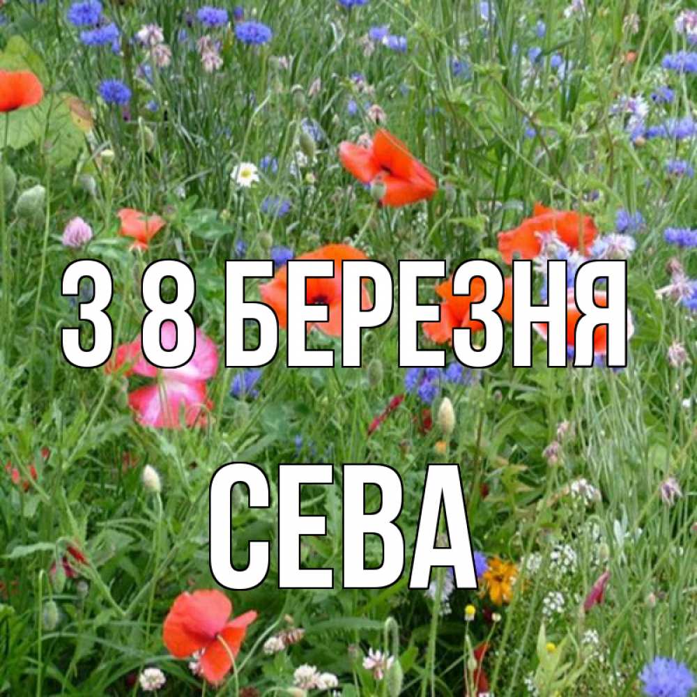 Открытка на каждый день з підписом, Сева З 8 БЕРЕЗНЯ международный женский день 4 Прикольна листівка з побажанням онлайн скачати безкоштовно 