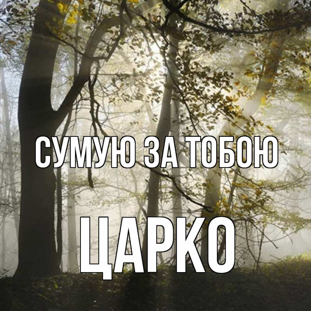 Открытка на каждый день з підписом, Царко Сумую за тобою грустно Прикольна листівка з побажанням онлайн скачати безкоштовно 