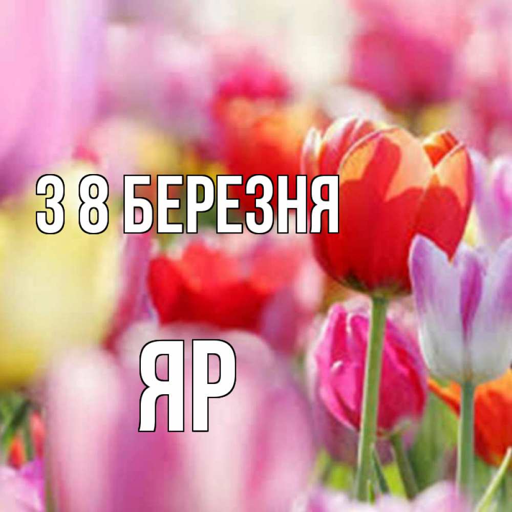 Открытка на каждый день з підписом, Яр З 8 БЕРЕЗНЯ на международный женский день 2 Прикольна листівка з побажанням онлайн скачати безкоштовно 