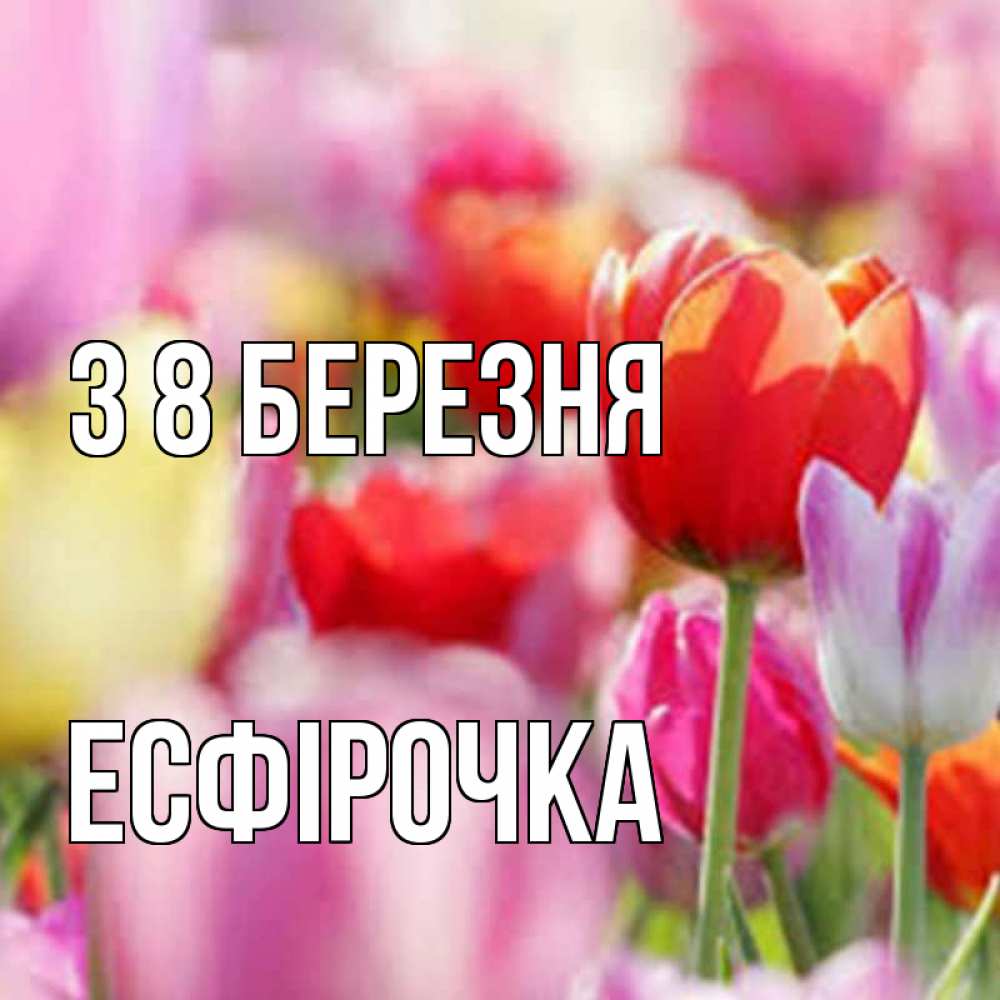 Открытка на каждый день з підписом, Есфірочка З 8 БЕРЕЗНЯ на международный женский день 2 Прикольна листівка з побажанням онлайн скачати безкоштовно 