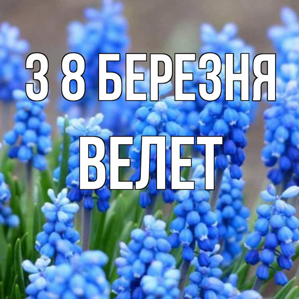 Открытка на каждый день з підписом, Велет З 8 БЕРЕЗНЯ Поздравительная открытка для женщин с цветами на праздничную дату Прикольна листівка з побажанням онлайн скачати безкоштовно 