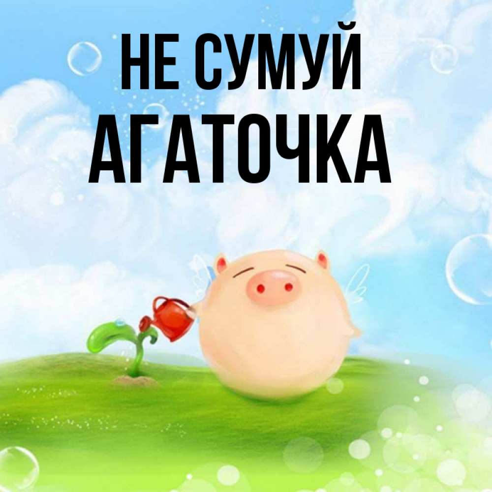 Открытка на каждый день з підписом, Агаточка Не сумуй поливает цветок порося Прикольна листівка з побажанням онлайн скачати безкоштовно 