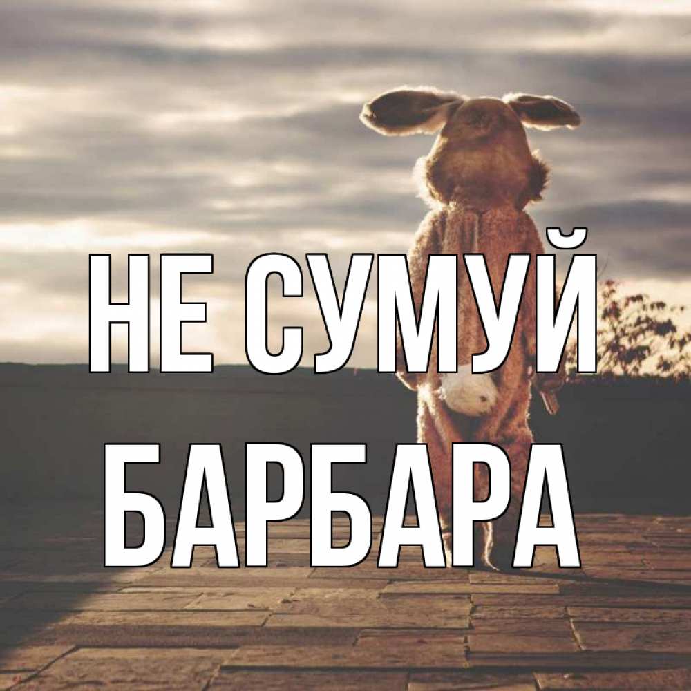Открытка на каждый день з підписом, Барбара Не сумуй со спины Прикольна листівка з побажанням онлайн скачати безкоштовно 