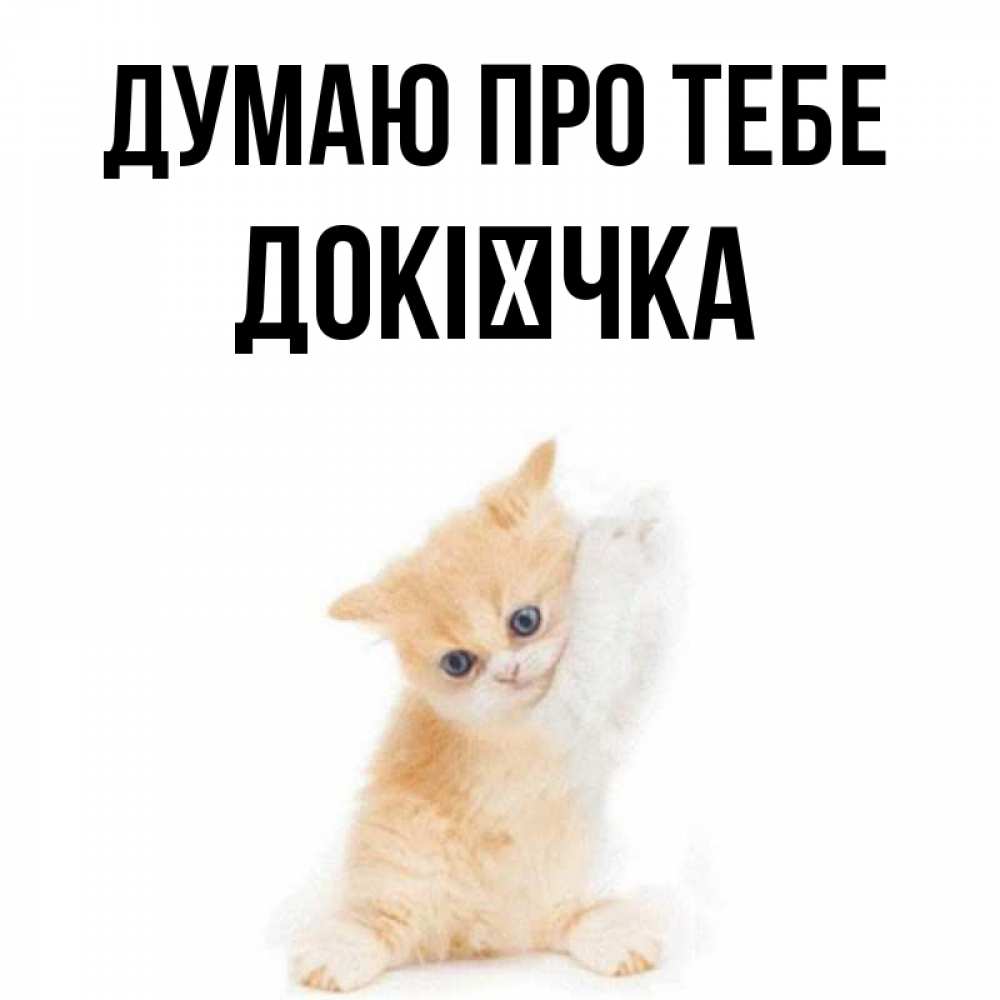 Открытка на каждый день з підписом, Докієчка Думаю про тебе зверушки и милота Прикольна листівка з побажанням онлайн скачати безкоштовно 