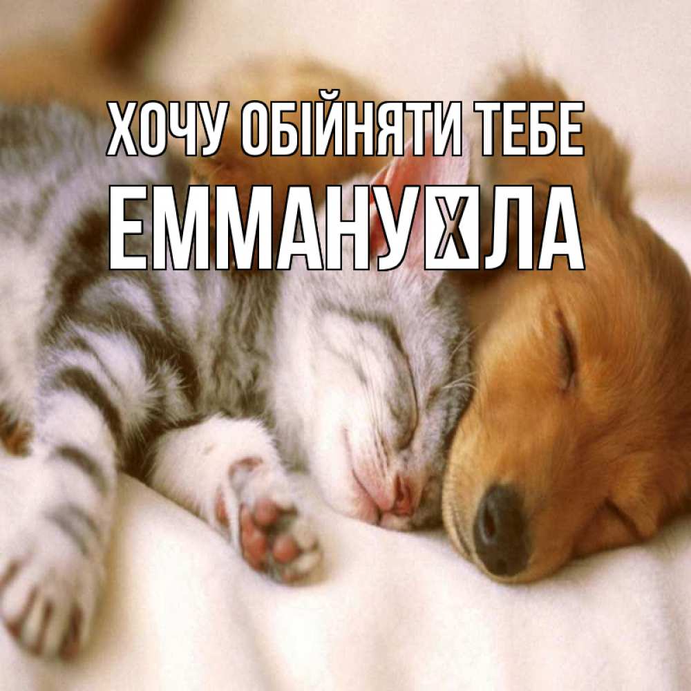Открытка на каждый день з підписом, Еммануїла Хочу обійняти тебе пес и котенок Прикольна листівка з побажанням онлайн скачати безкоштовно 