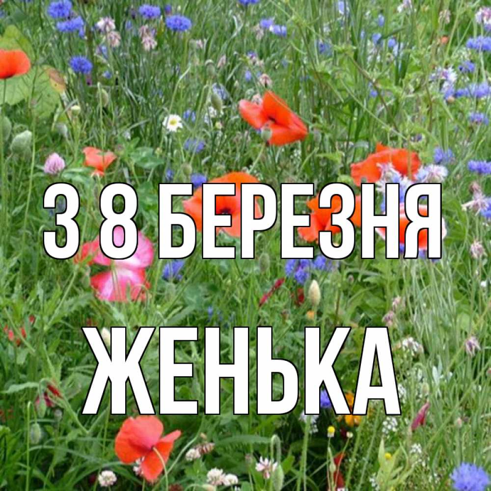 Открытка на каждый день з підписом, Женька З 8 БЕРЕЗНЯ международный женский день 4 Прикольна листівка з побажанням онлайн скачати безкоштовно 