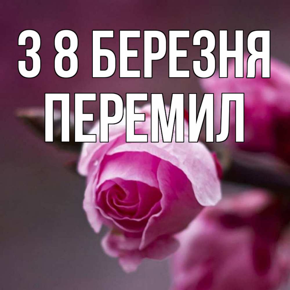 Открытка на каждый день з підписом, Перемил З 8 БЕРЕЗНЯ весна Прикольна листівка з побажанням онлайн скачати безкоштовно 