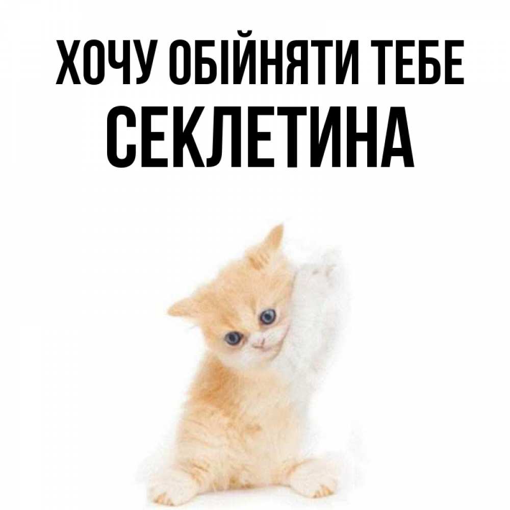 Открытка на каждый день з підписом, Секлетина Хочу обійняти тебе я хочу очень скорее обнимаешек Прикольна листівка з побажанням онлайн скачати безкоштовно 